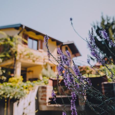 Holiday Home Castanea Praporcan エクステリア 写真