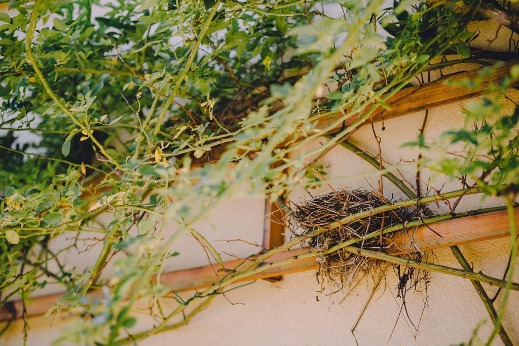Holiday Home Castanea Praporcan エクステリア 写真