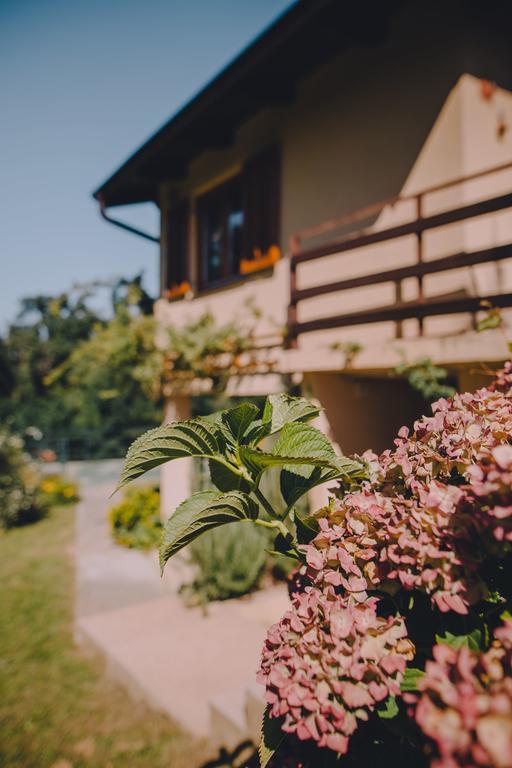 Holiday Home Castanea Praporcan エクステリア 写真