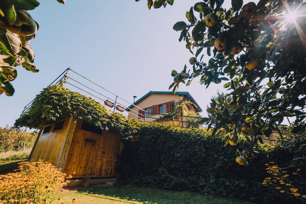 Holiday Home Castanea Praporcan エクステリア 写真