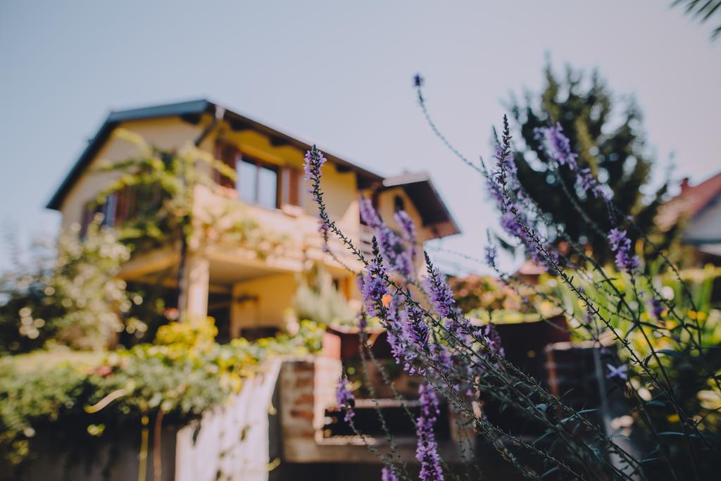 Holiday Home Castanea Praporcan エクステリア 写真